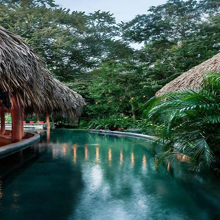 The Space Jungle Oasis San Juan del Sur Luaran gambar